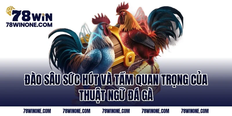 Đào sâu sức hút và tầm quan trọng của thuật ngữ đá gà