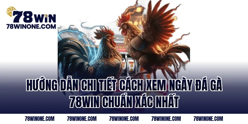 Hướng Dẫn Chi Tiết Cách Xem Ngày Đá Gà 78Win Chuẩn Xác Nhất