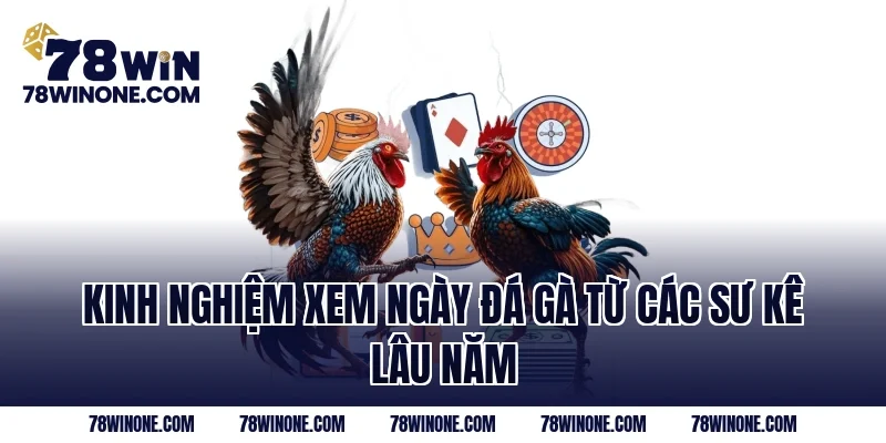 Kinh Nghiệm Xem Ngày Đá Gà Từ Các Sư Kê Lâu Năm
