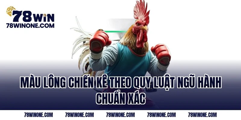 Màu lông chiến kê theo quy luật ngũ hành chuẩn xác