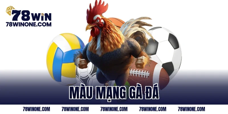 màu mạng gà đá