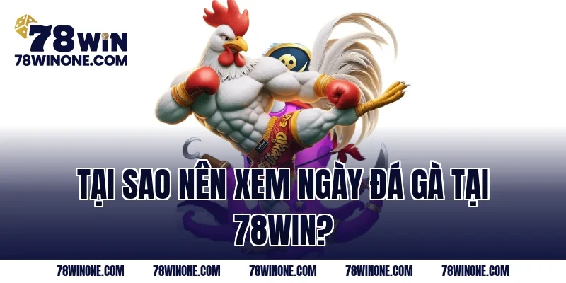 Tại Sao Nên Xem Ngày Đá Gà Tại 78Win?