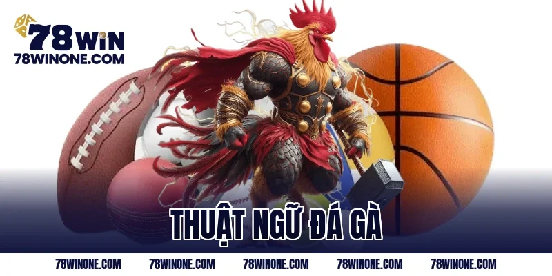 thuật ngữ đá gà