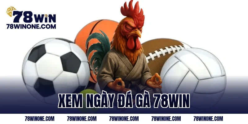 xem ngày đá gà 78win