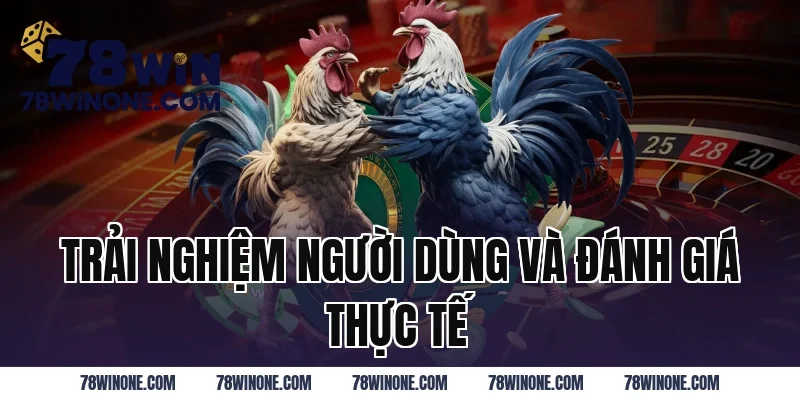 Trải Nghiệm Người Dùng Và Đánh Giá Thực Tế